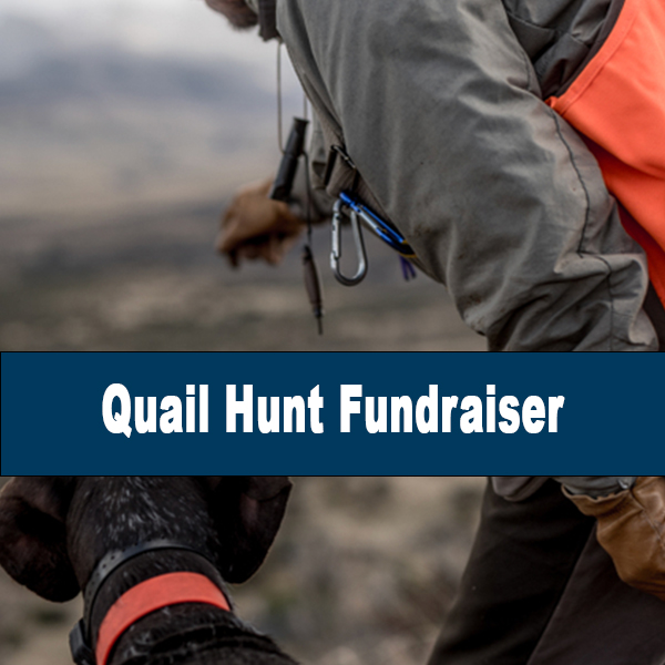 Quail Hunt Fundraiser